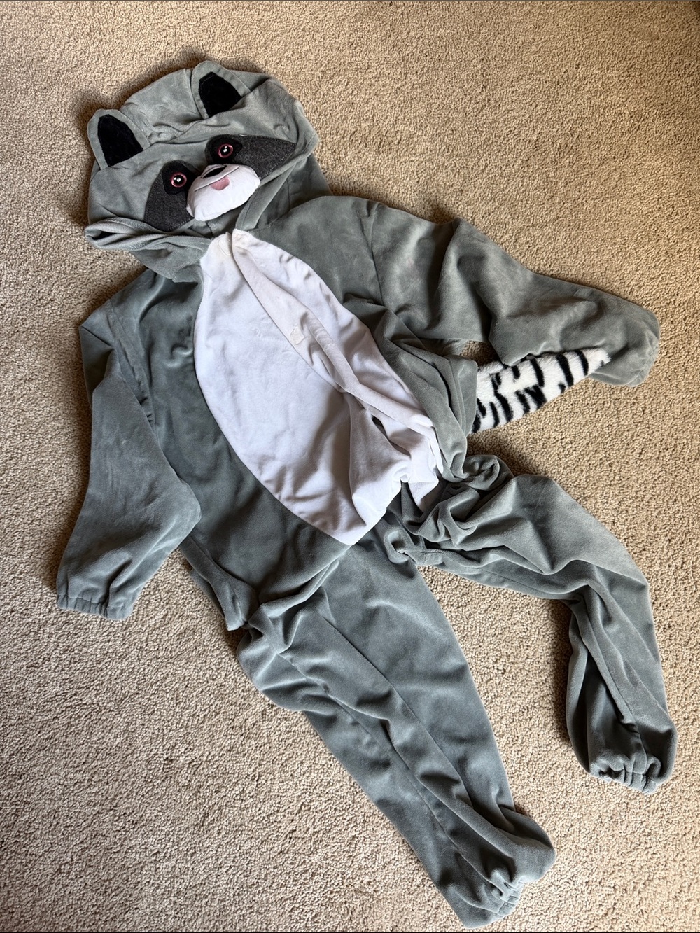 Children's Raccoon One-Piece Costume - Gray & White - Size Large